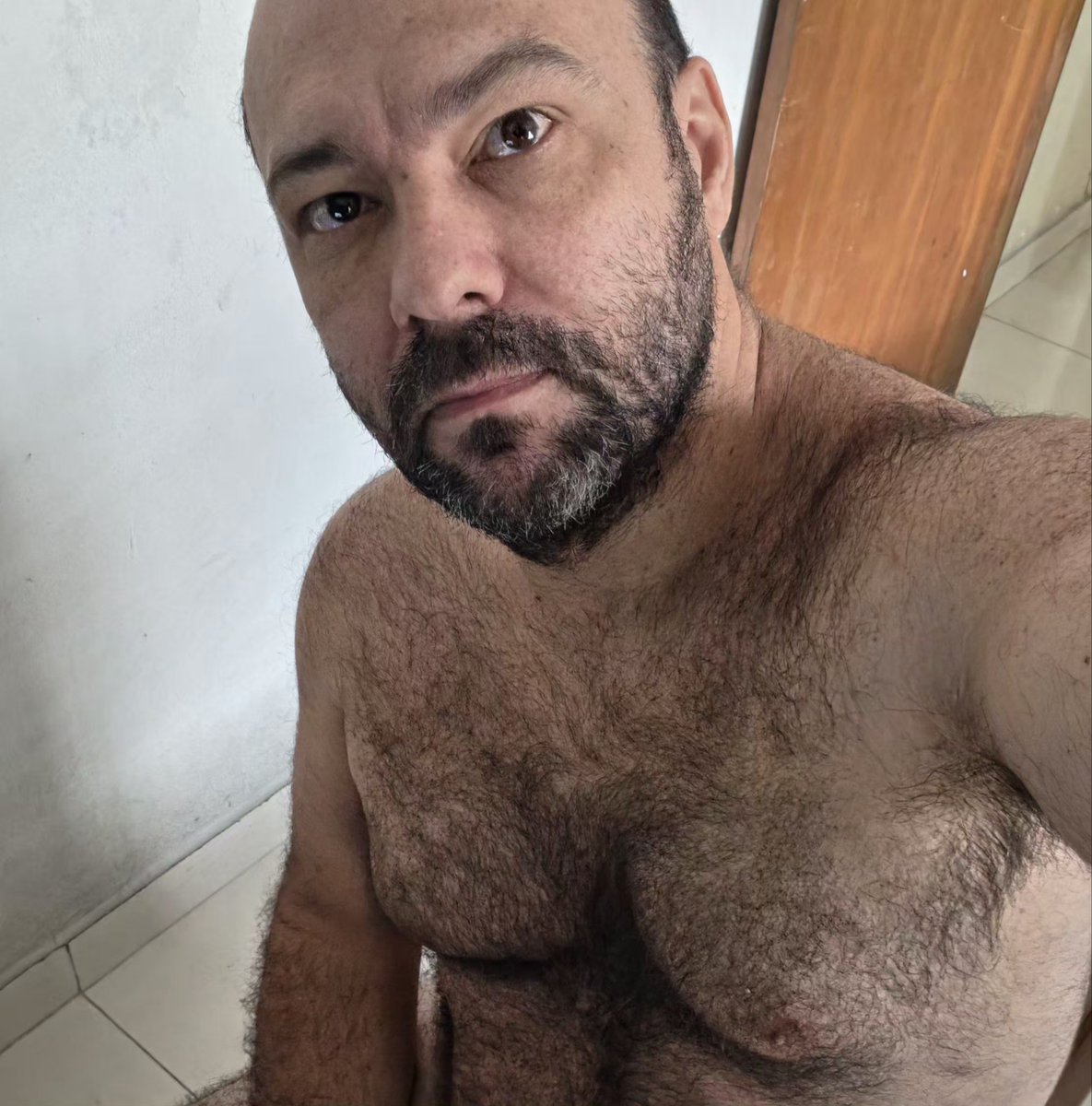 Diogo Patzlaff tweet media