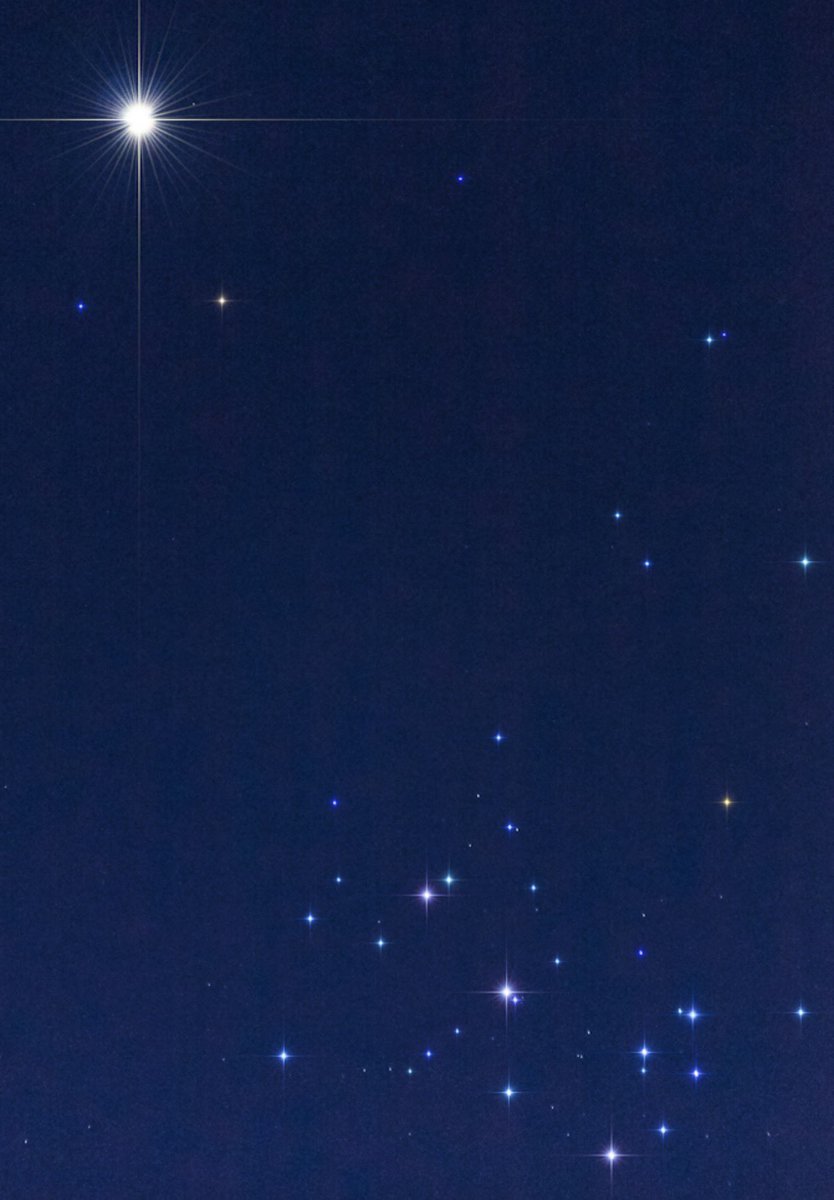 astropics's tweet photo. Venus and the Pleiades ✨ https://t.co/DC3tphddmZ