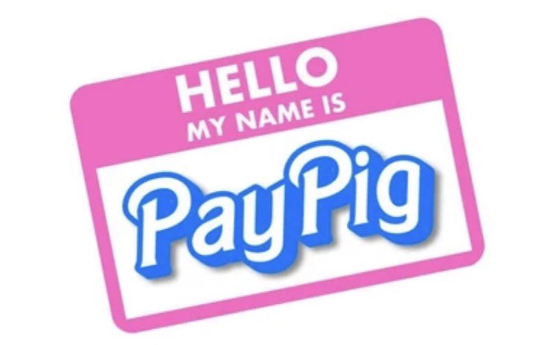 PAYPIG tweet media
