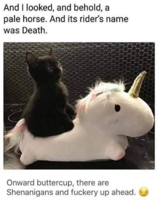 grim_kitty9's tweet photo. @Savage16May https://t.co/dwrdrjRknX