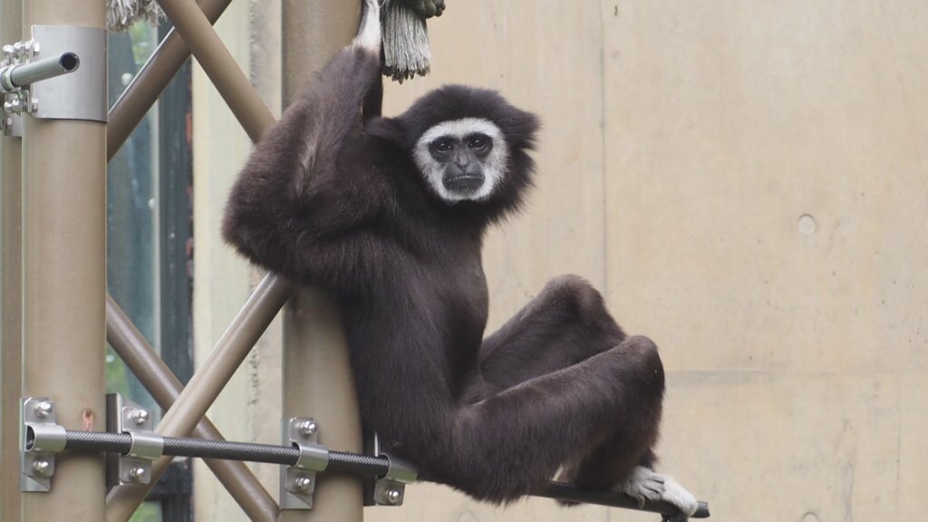 旭山動物園東門 tweet media