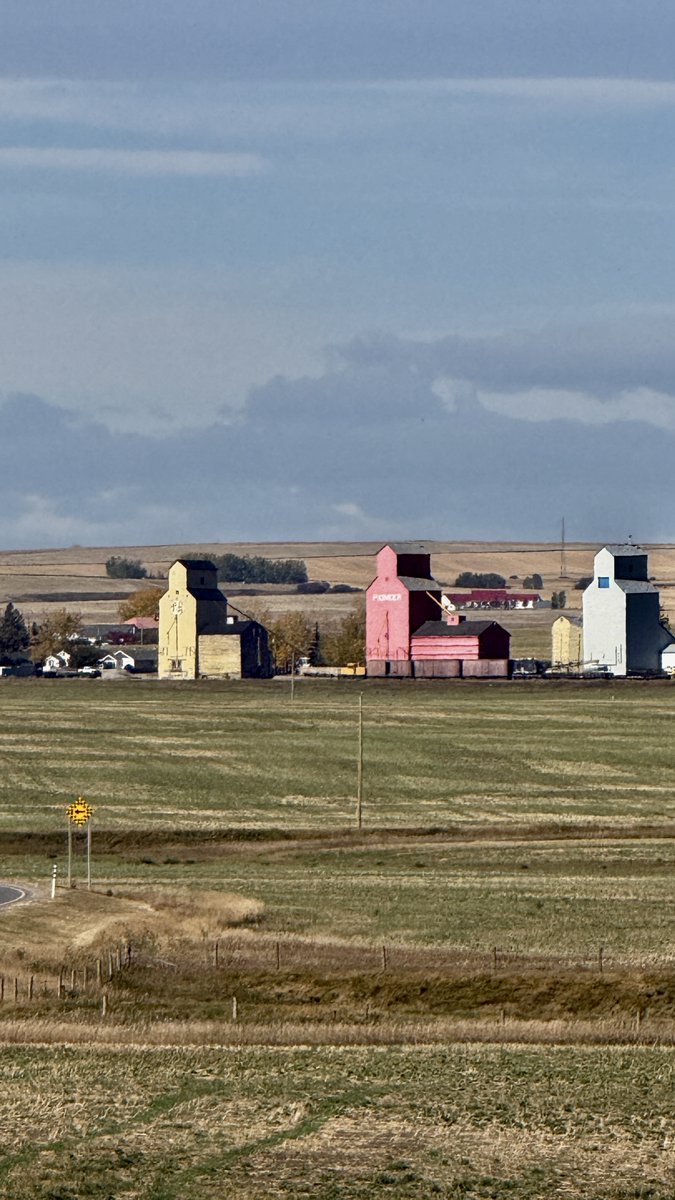 KassDays's tweet photo. Driving back in from the east of Okotoks, these beauties pop up every time ✨Colourful grain elevators standing proud against the Alberta prairie — classic prairie icons that still make the drive home feel special. Never get tired of this view. 🌾See more of Alberta 👇
https://t.co/DkV6bL2hjn
