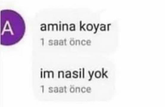 Gernaschius tweet media