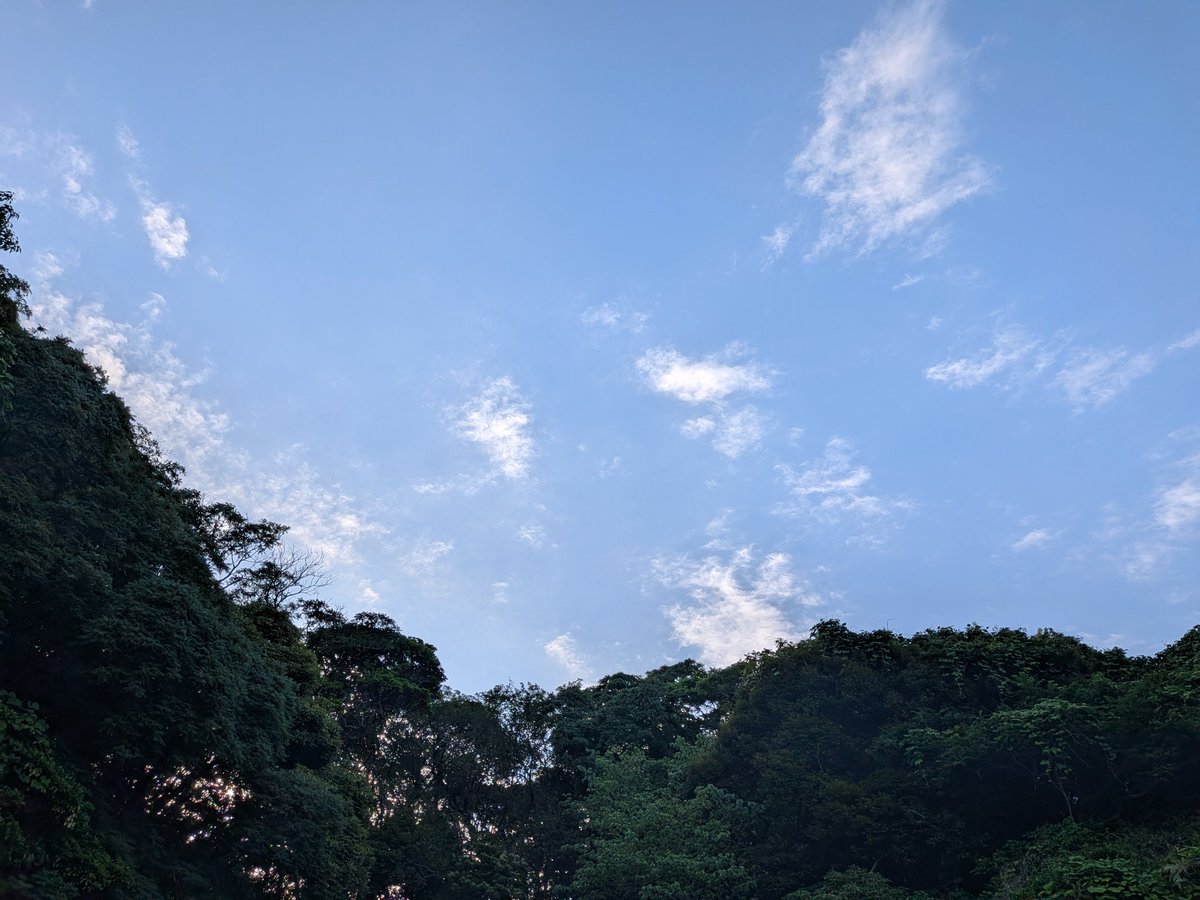 srmaeda's tweet photo. 今朝はまめちゃんの散歩に行くことができました。
気持ちのいい朝です。
仕事を進めていきます。
#まめちゃん #柴犬 #黒柴 #犬のいる暮らし #朝散歩 #わんことお出かけ #犬好きさんと繋がりたい #空の写真 #自然が好き #今日も頑張ろう https://t.co/Tn20ngkvfO
