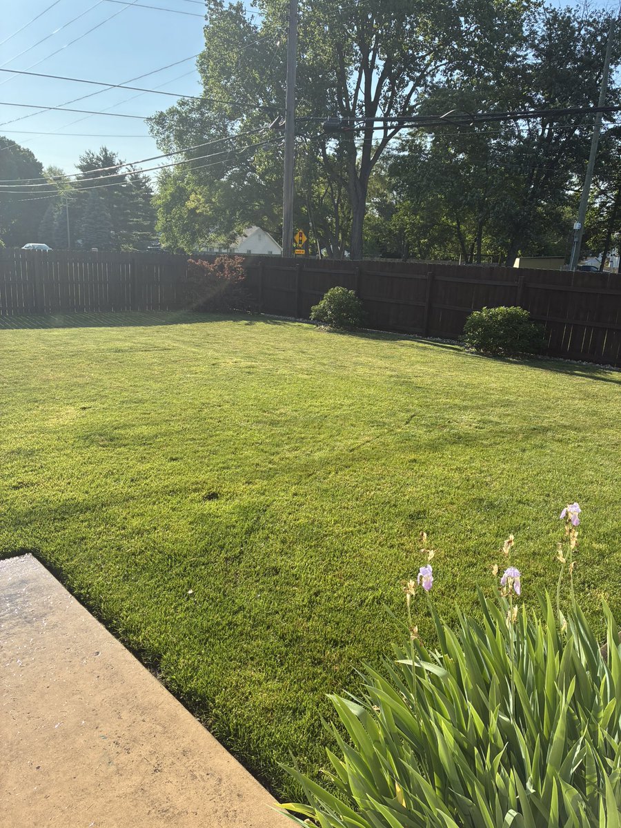 jayvick187's tweet photo. Great evening for @OutKickTNML here in SE Michigan. @TroyBilt mower ran great, felt good and coasting into the summer months! High quality H20 kept me hydrated. Mow time temp, 68 degrees! Mow on friends! @JoeKinseyexp #TNML @DieselRenius https://t.co/DEp2m3Z7NQ