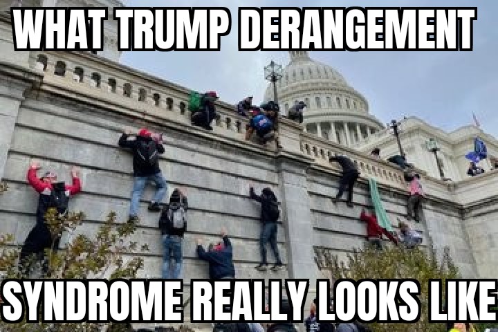 @Nostradonny tweet media