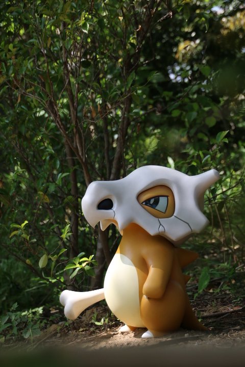 Jester_KT's tweet photo. 20260512
ポケモンフォレスト③ https://t.co/cS1Avi4ed9