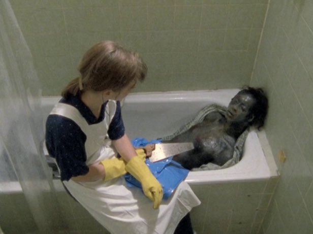 Horror Extremo tweet media