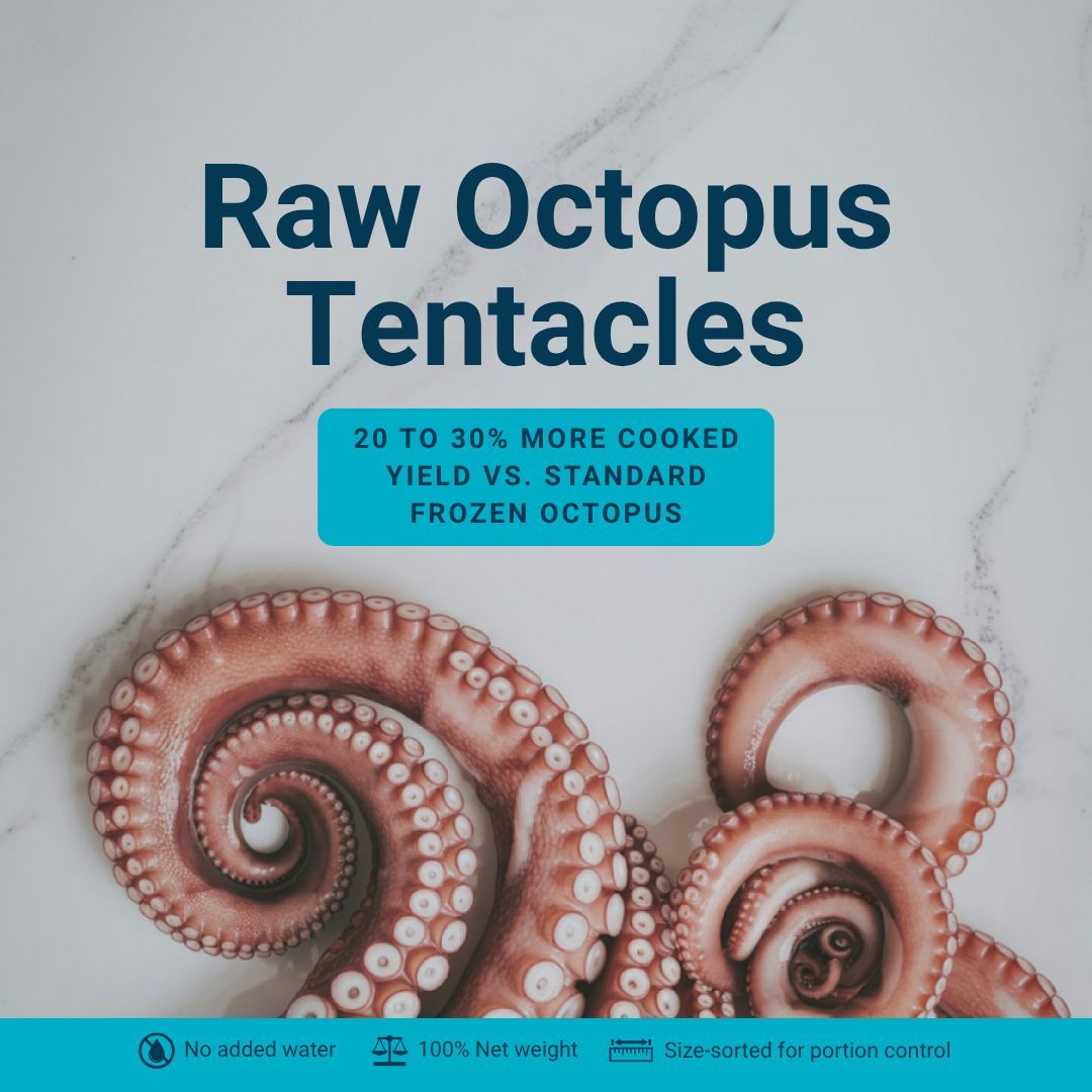 mmmediterranean's tweet photo. Boost your margins with 20% to 30% more #cooked #yield vs. standard frozen #octopus. 🐙

✅ No added water or chemicals. 
✅ 100% Net weight. 
✅ Size-sorted for perfect portion control.

#Kitchen Performance starts here. Link in bio to register. 📈 https://t.co/MeMSLKzKmB