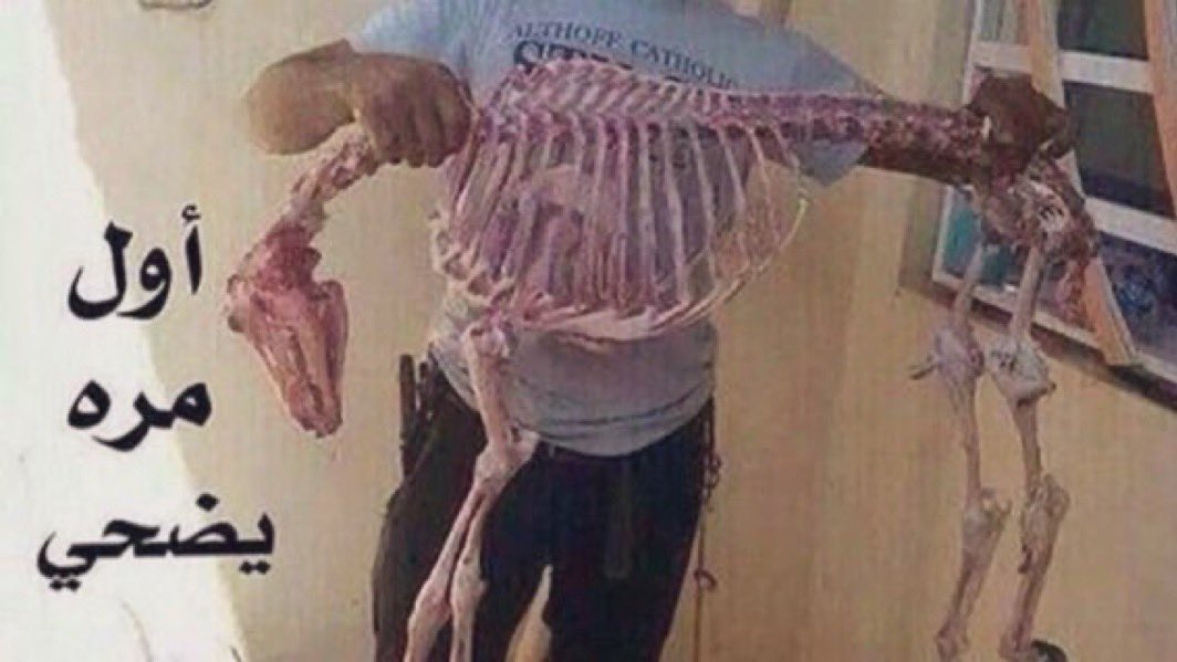 mostash1396's tweet photo. حتى ( صوت ) الذبيحة ⬅️ حطه ( نغمة ) جوال 😂                                                          #عيدكم_عن_عيدين https://t.co/wJ6gsYsuzG