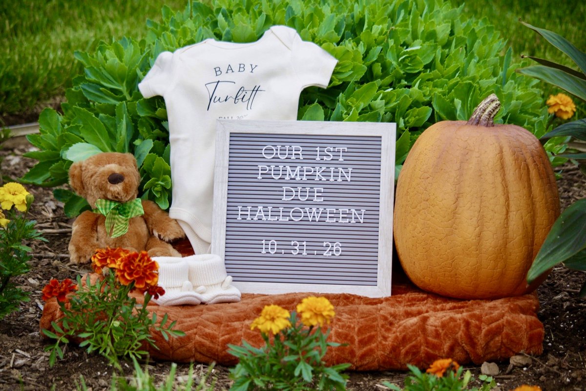 PriscillaPosts's tweet photo. Our first pumpkin: Baby Turbitt due Halloween🎃💛 https://t.co/facK1QHytp