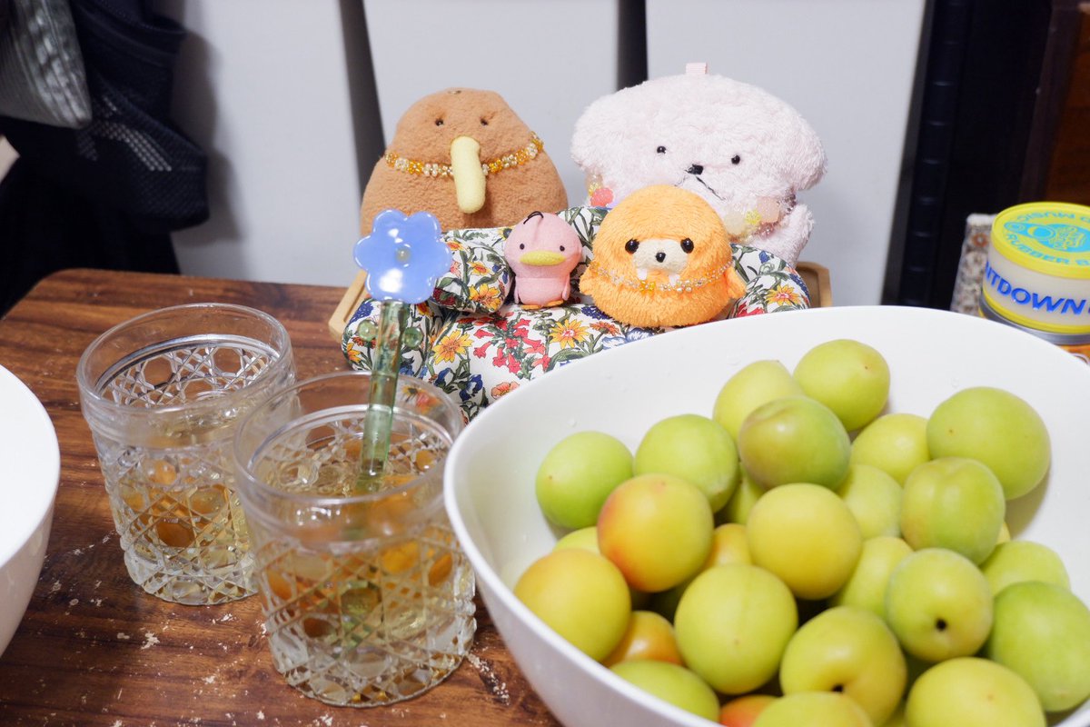 8___gt's tweet photo. 気がついたら4年ものとなっていた前回の梅酒を飲み切りつつ、久しぶりに梅酒を仕込んだよ🥃withくだものネームのみなさん🥝🍑おいしくできるといいね〜🤤 https://t.co/lYSvgNNdLN