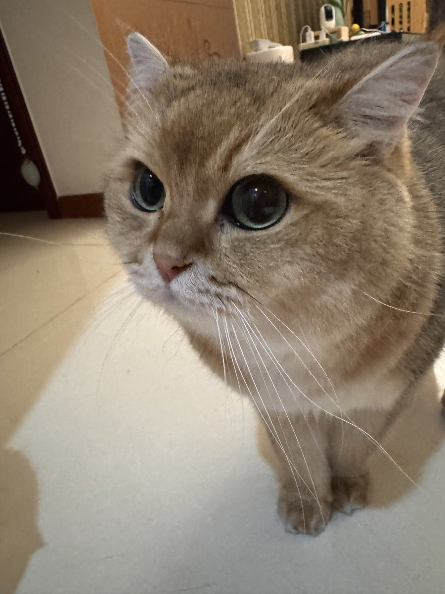 silver48727's tweet photo. @Coder_name01 https://t.co/f3ClK7QNQL
