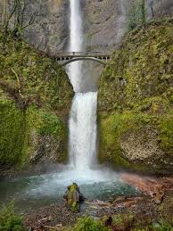 PhryneTiny's tweet photo. We stand at the base of Multnomah Falls, mist cooling our faces as the water crashes down like nature showing off. We hike up the trail, my hand finding yours when it gets steep. At the bridge, we stop, just us, the roar of the water, and that feeling of being very alive https://t.co/rX0KFygUTK