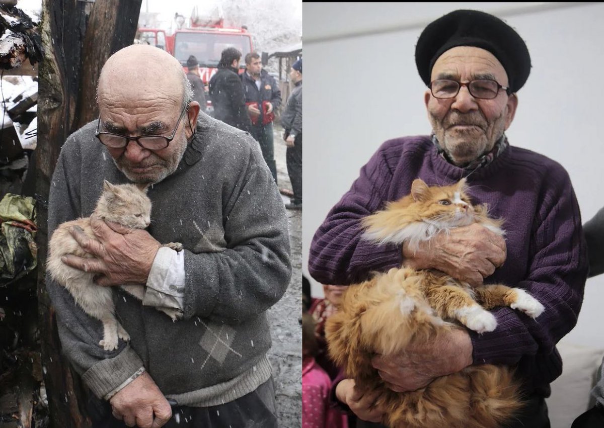 Cat is life ~猫は人生~ tweet media