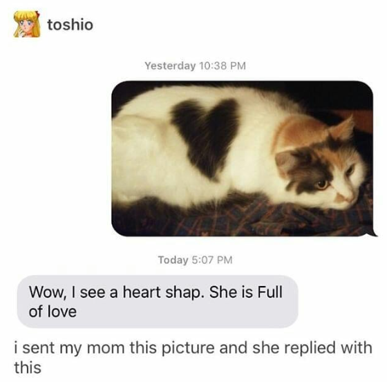 WholesomeMeme's tweet photo. https://t.co/Mork5F9CNv