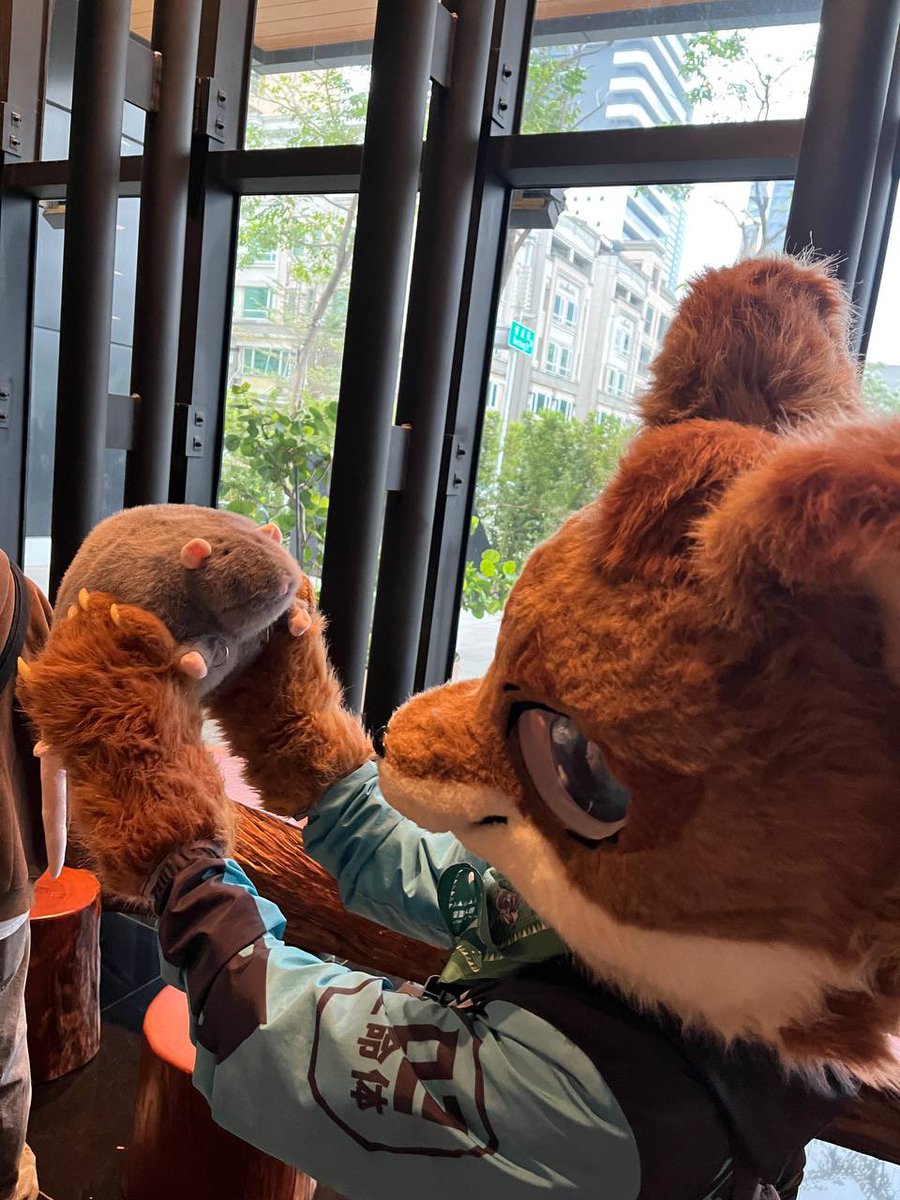 Marco072578's tweet photo. 抓到一隻老鼠了，看你都不會狩獵，這隻送給你吧
📷：卡塔利
#FursuitFriday https://t.co/Ay6G9g5mSW