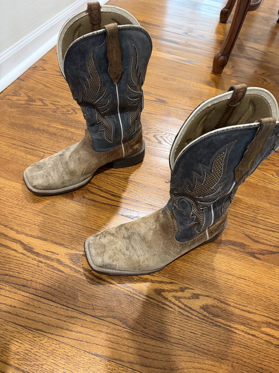 Nicholas Shoes tweet media