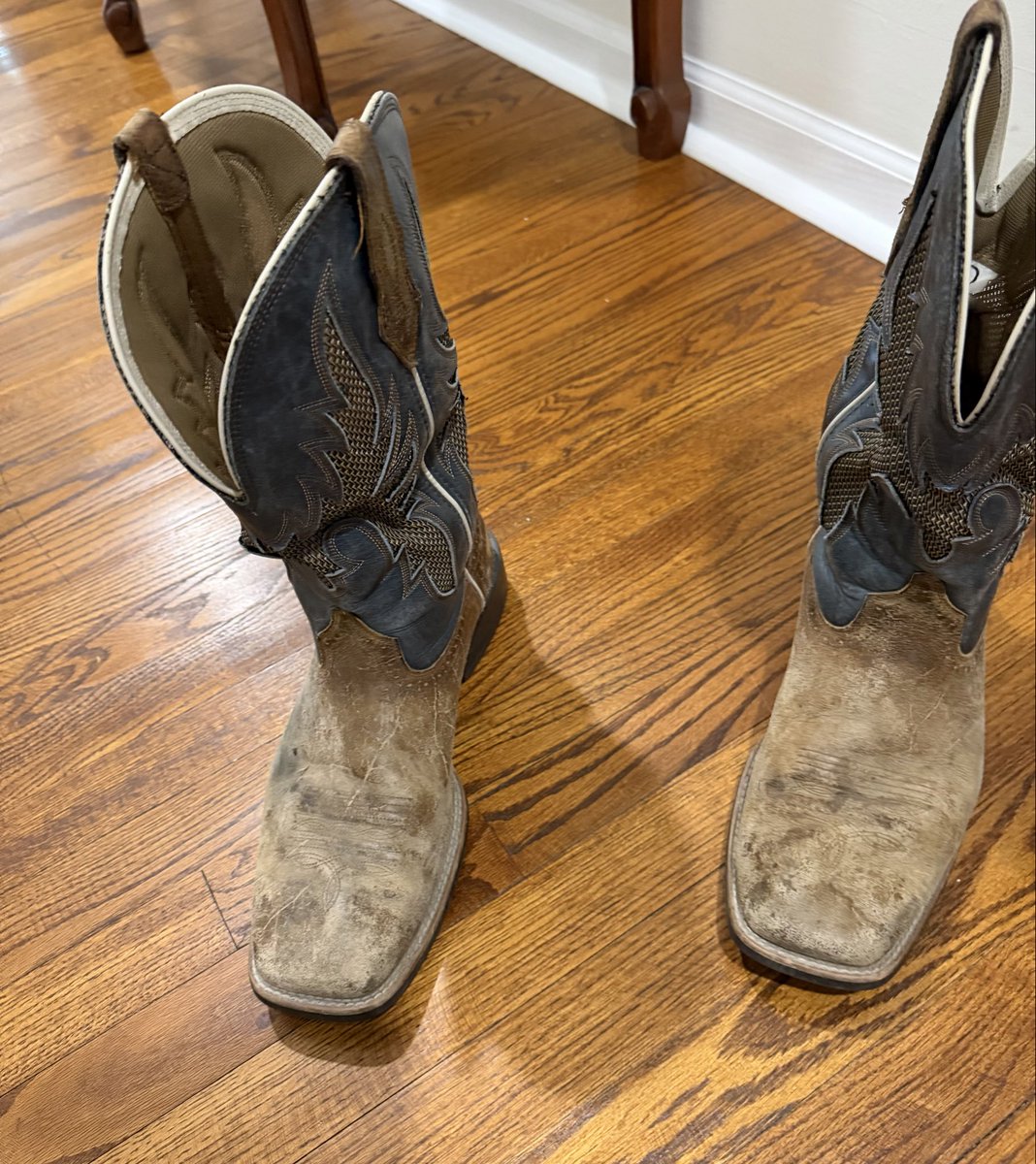 Nicholas Shoes tweet media