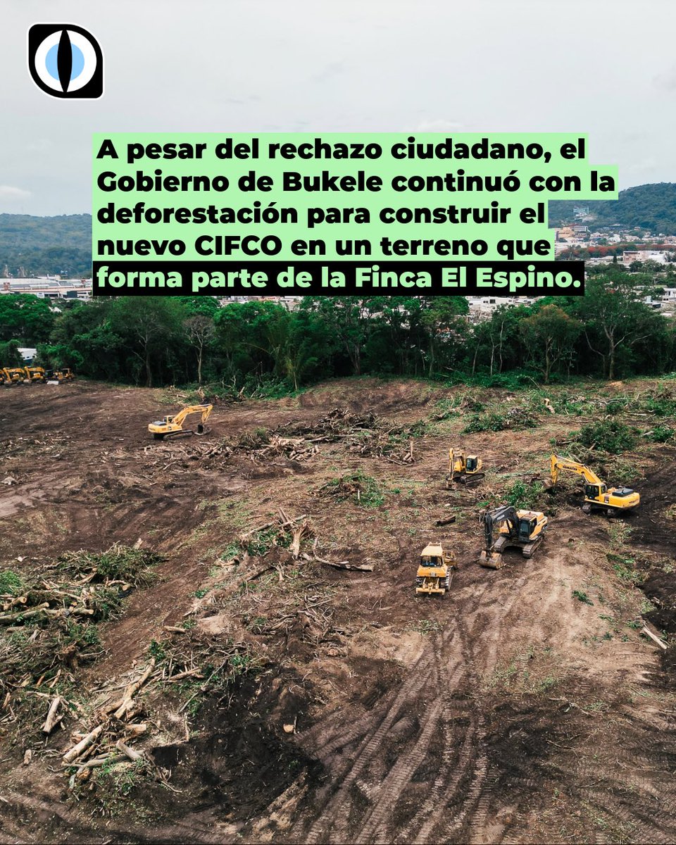 Revista GatoEncerrado tweet media