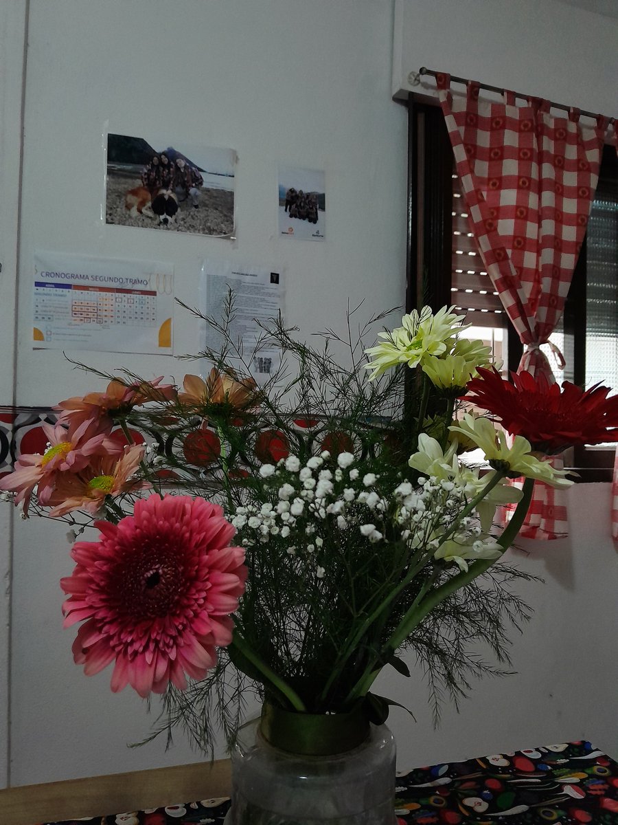 AnaMass7's tweet photo. 😍💐✨️ https://t.co/6jhM8vQw3z
