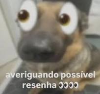 Pedro tweet media
