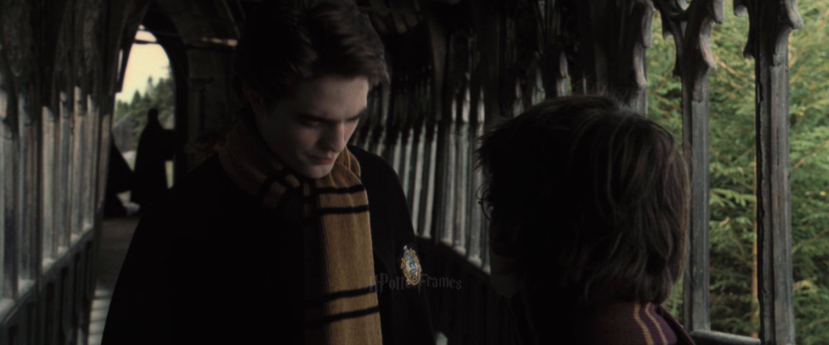 Every Harry Potter & Wizarding World Frame tweet media