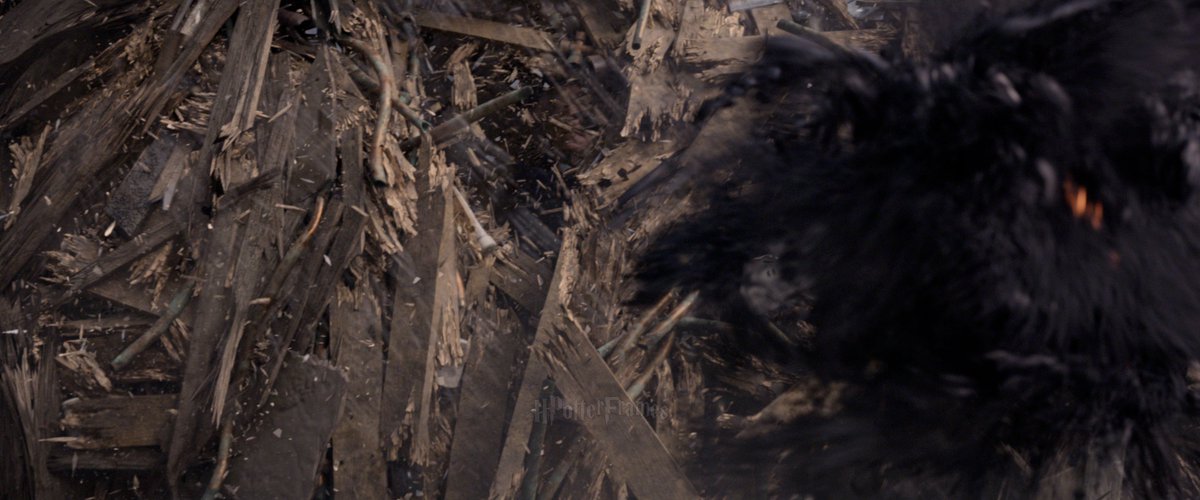 Every Harry Potter & Wizarding World Frame tweet media