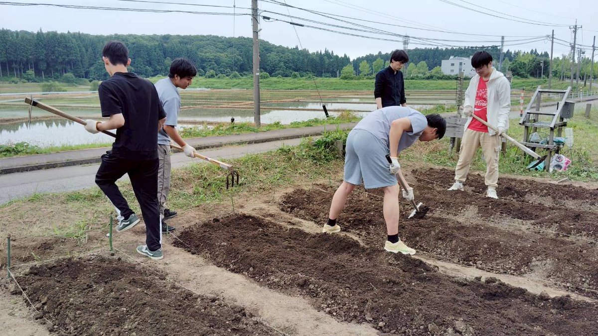 JAIST16's tweet photo. 5月も終わりが近づいてきました。小雨の中での畑作業🧑‍🌾。畝にマルチシートを敷き、苗を植えました🌱。
#研究室の日常
#リトルガーデン https://t.co/hta3plLr0l
