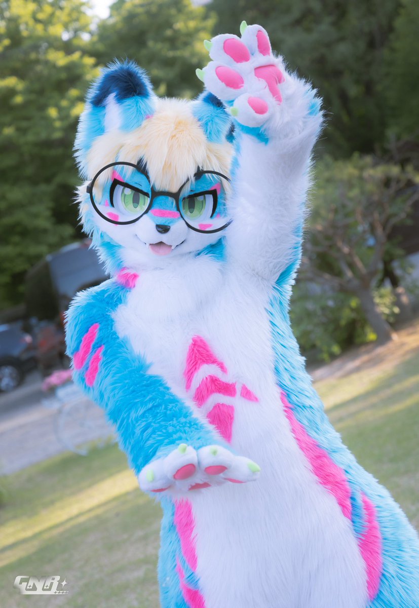 AruKwisa's tweet photo. #FursuitsFriday 
#Aru #阿鲁 

오늘도 상큼하게!!

📸 @Gaenari1257 https://t.co/lSnpCEo59c