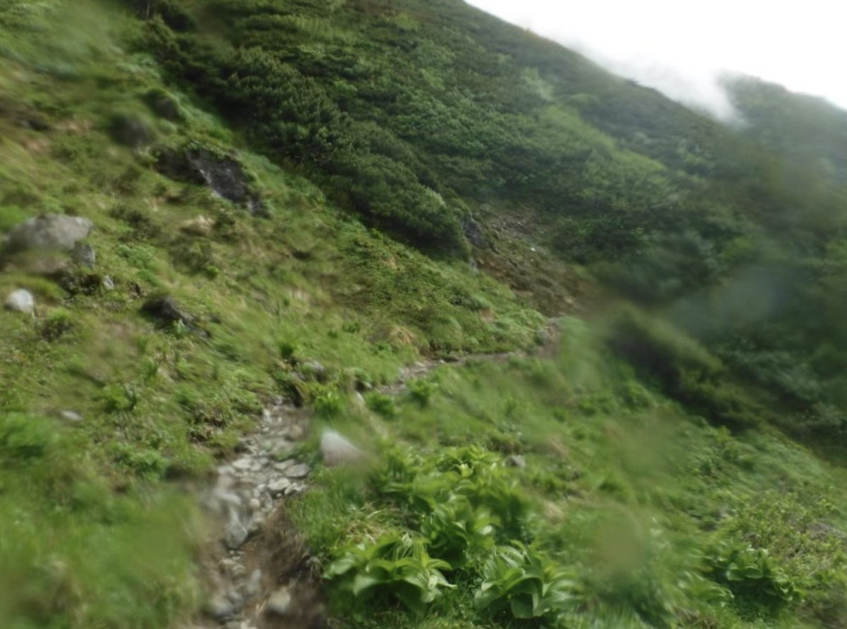 舟山義広🚗⛰️🏕️ tweet media