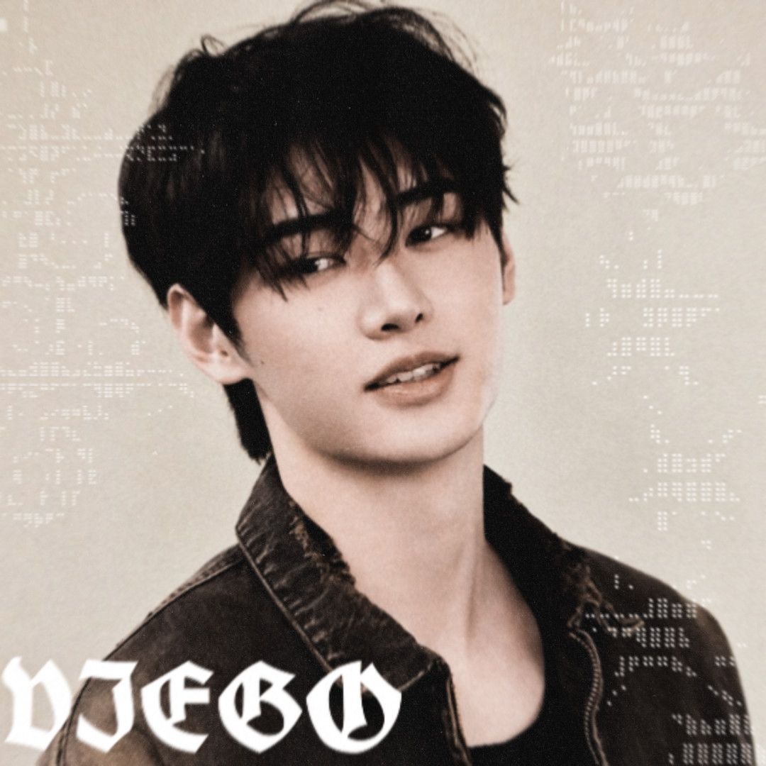 𝐕𝐈𝐄𝐆𝐎 ╋━ tweet media
