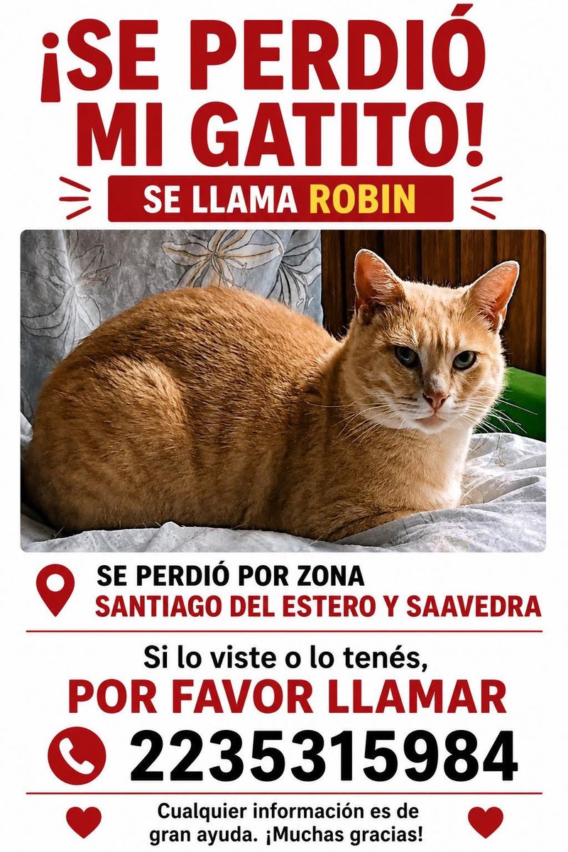 gabymenta's tweet photo. Se PERDIÓ  ROBIN  AYUDEMOS Mar del Plata ❤️❤️❤️❤️❤️ https://t.co/kfHJpjRrJX