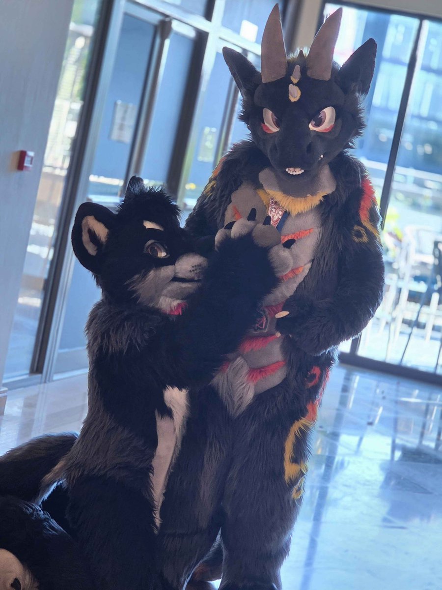 DergyVai's tweet photo. Keep your puppies close.. (and on their knees apparently..!)

#fursuitfriday 

🐕 @zet_soku 
📸 @BalanOnX https://t.co/9csjYLcsCx