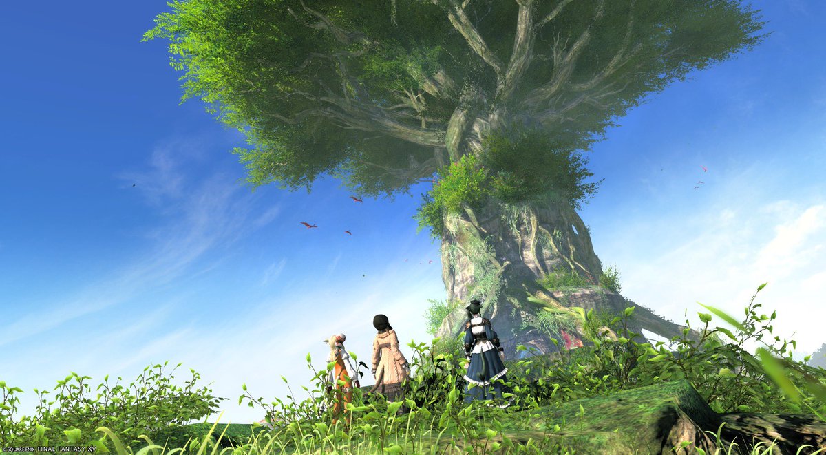 Anemonegames's tweet photo. #ネコチームB ウィンダス・ザ・サードウォーク〜(*´꒳`*)✨✨
しゃるさん初見クリアおめでとうございました♪

#FF14 #FF14SS #ミコッテ https://t.co/tXSLO9Vxhs