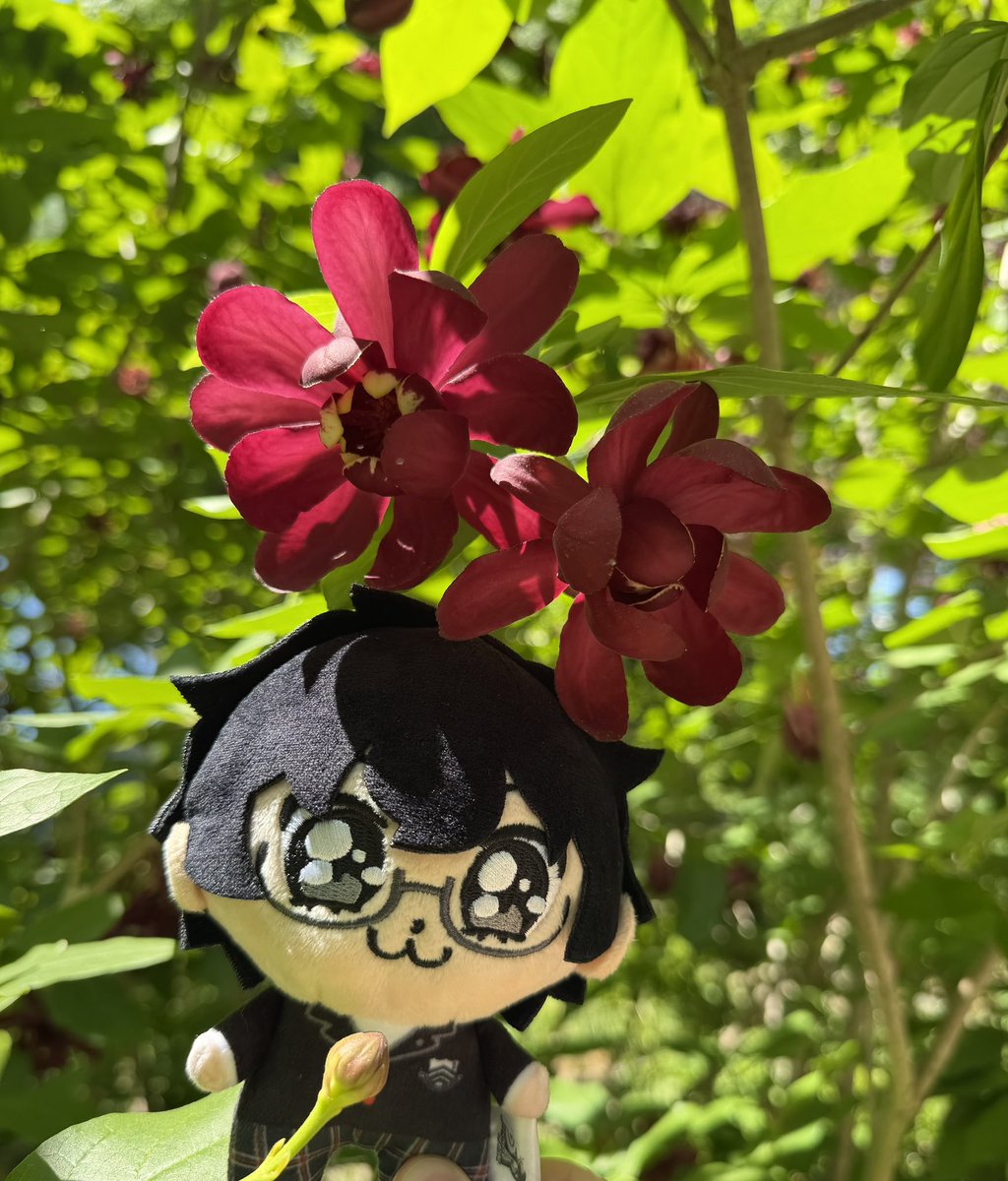 ZanderScander's tweet photo. A nice day out https://t.co/QLzyBhcN9v