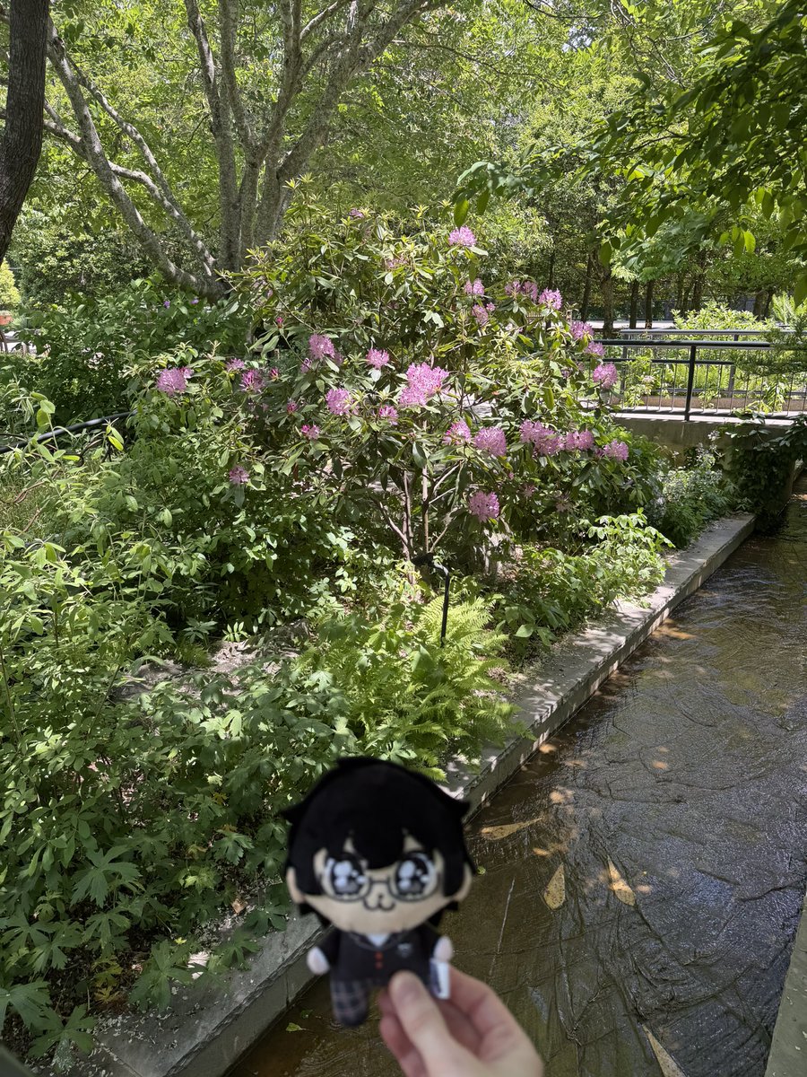 ZanderScander's tweet photo. A nice day out https://t.co/QLzyBhcN9v