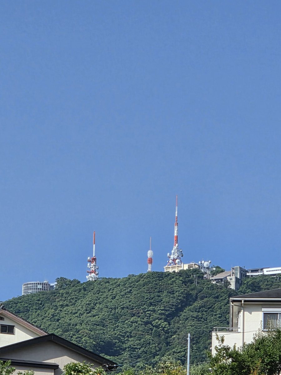 raian36's tweet photo. おはようございます
長崎は晴れです。気温24°C🌡
素敵な金曜日になりますように🍀😊☀️✨
 #おはようございます
 #あさんぽ
 #花の写真
 #長崎 https://t.co/RbI9skdLW7