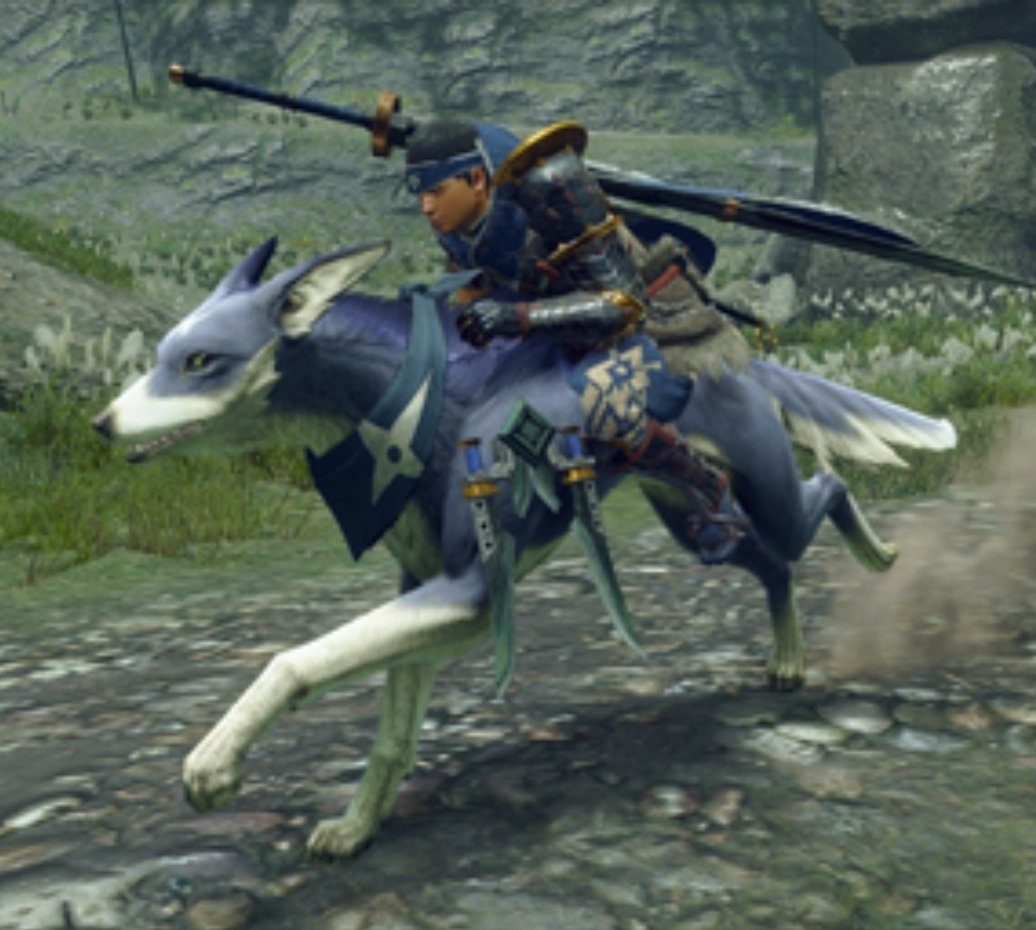 MidnightBoshi's tweet photo. Been playing Twilight Princess recently and Dang I wish nintendo still did stuff with monster hunter cuz this would have been so cool. https://t.co/IwjDGGf30l