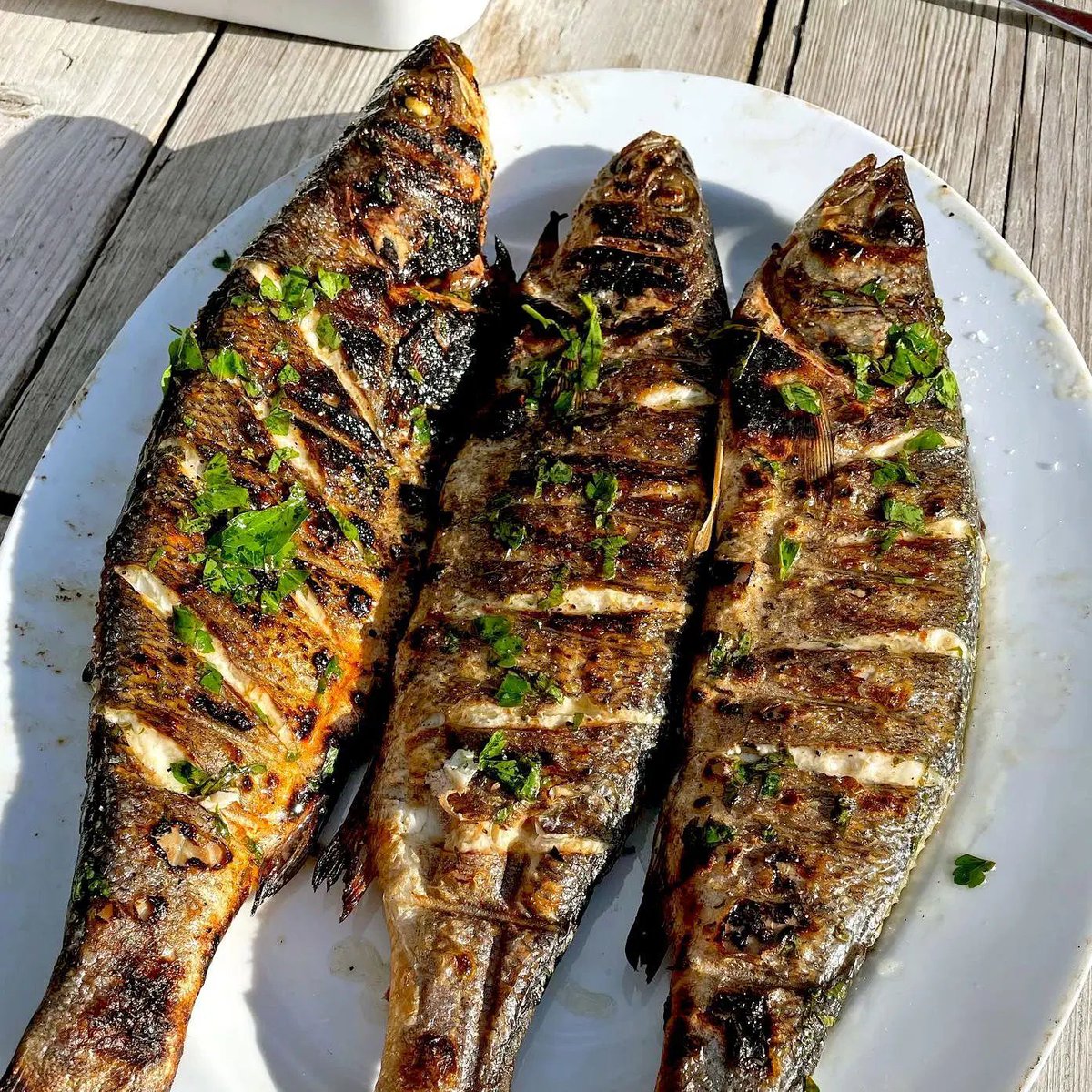 thieves_rest's tweet photo. ꒰ঌ ORDER #480 ! ໒꒱
from: anon

Grilled fish for @Zuka579134276!

“Fishe” https://t.co/EefcrUNMQE