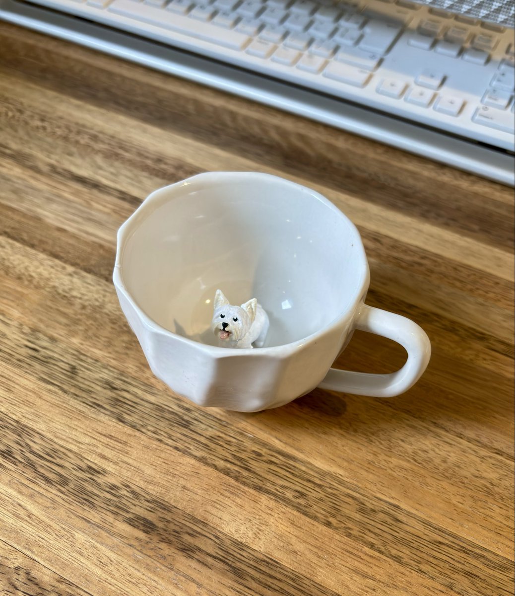 oa3c_'s tweet photo. Ganhei da @jurismandi essa caneca linda com o Calvin 🐶 Muito obrigado, Amandita ❤️ https://t.co/1Bgq4XXqJk