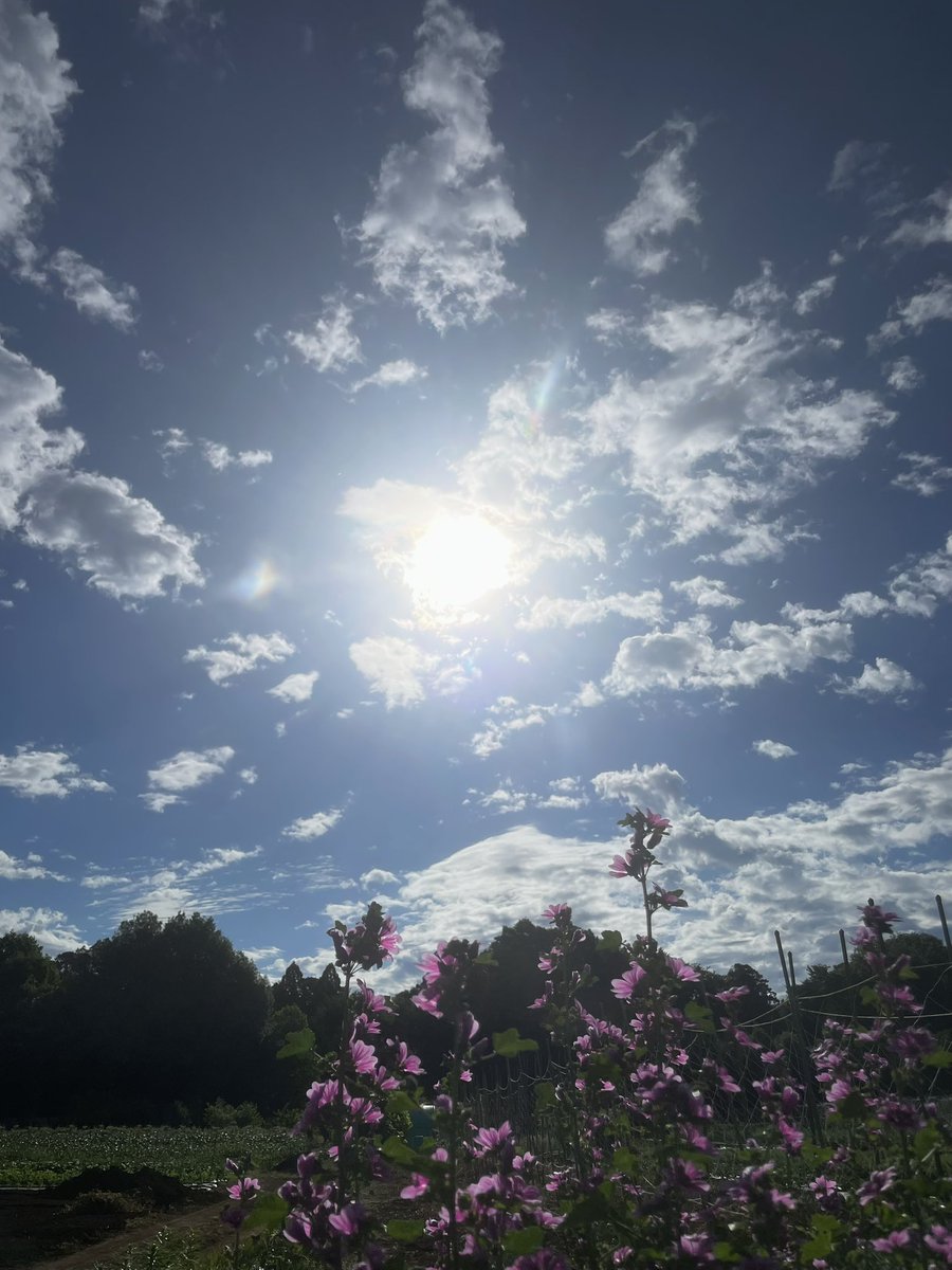 kerotan77's tweet photo. おはようございます☀
今日も元気に… https://t.co/NcjA9H8bir