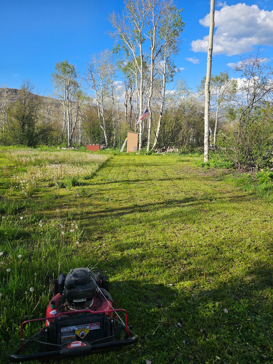 MinerUSb's tweet photo. We're putting in some work up at the mountain property today.  🌳🌲🪚🌱 https://t.co/rJAqeJ8mwW