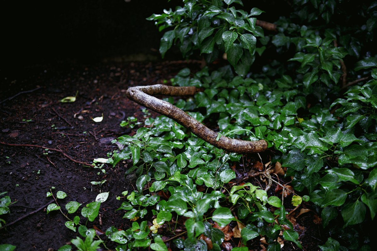 sicam623's tweet photo. LUMIX S1IIE
LUMIX S 35mm F1.8 https://t.co/bRMeTMOcTB