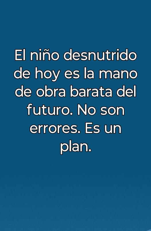 bralucos tweet media