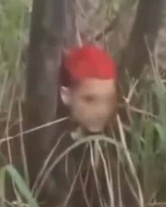 VMJunior's tweet photo. @lobotosasha Deixa só a cabecinha? https://t.co/mfe5SliYKE