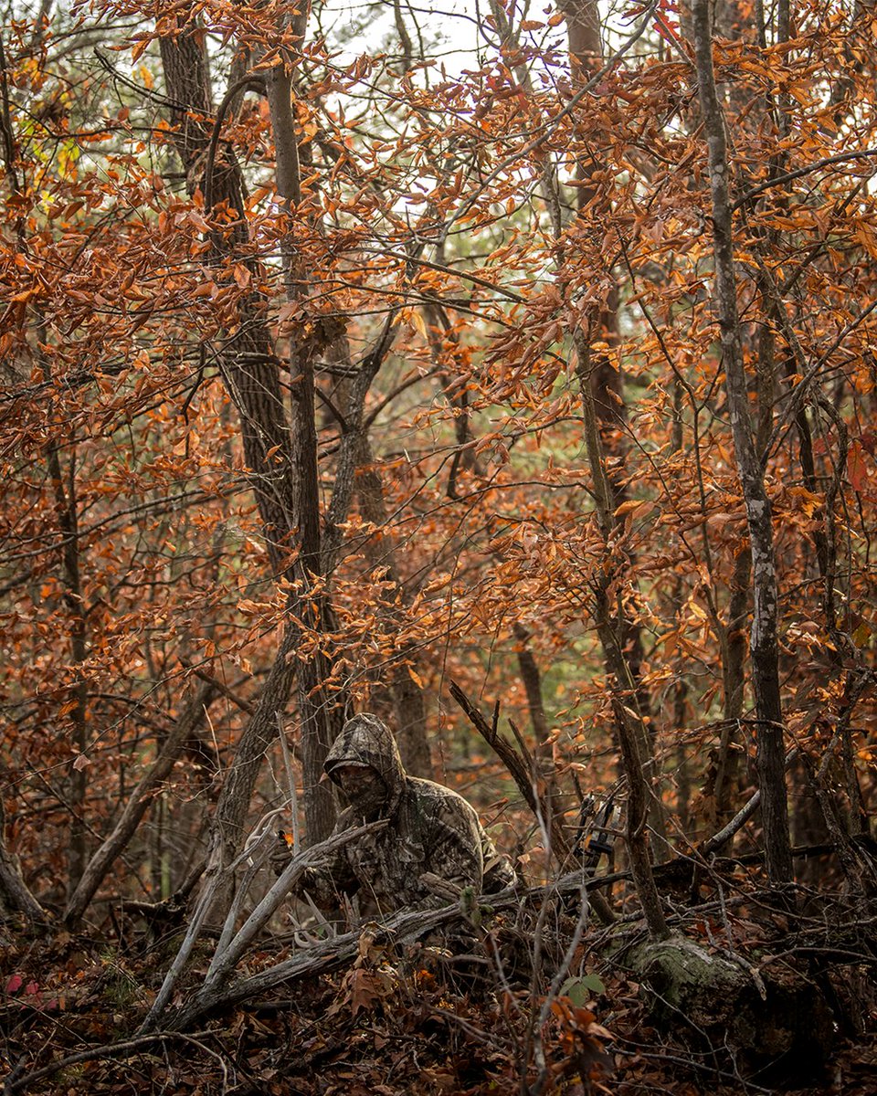 Realtree's tweet photo. The calendar says summer. Our minds say rut reports, cold fronts, and heavy straps.

#Realtree https://t.co/DWAQiGRXim