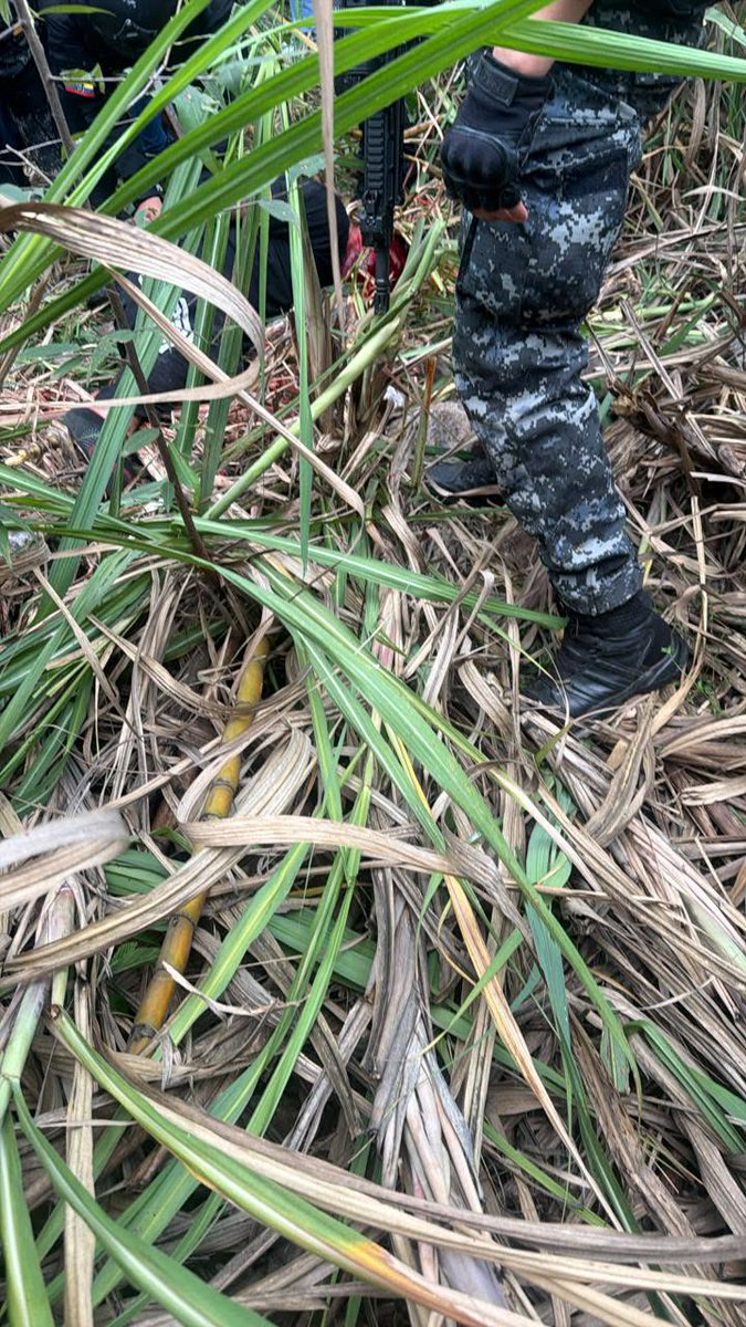 Sanchezmendieta's tweet photo. Urgente: un segundo delincuente que participó en el asalto a la joyería Chordeleg, en #Chordeleg, en Azuay, esta tarde también encontrado y linchado por la población. https://t.co/5Yr7bK0FDz