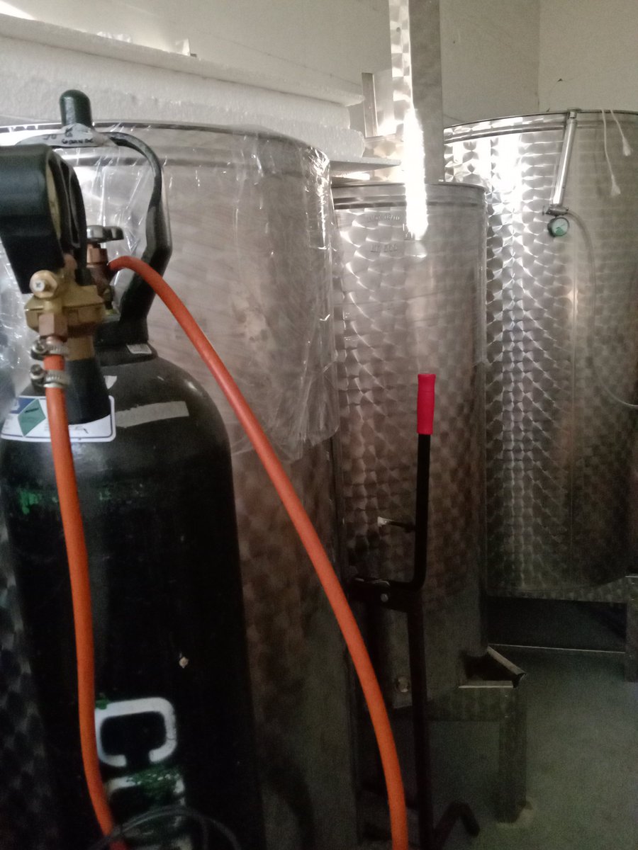 MossaPizza's tweet photo. Mañana Viernes estaremos en Lomo House de San Esteban para degustación de nuestros Vinos y venta..Desde las 16 HRS. Disfruta de un grato ambiente y de productos de la zona, expuestos por sus propios dueños.. https://t.co/qQbVEFcWoX