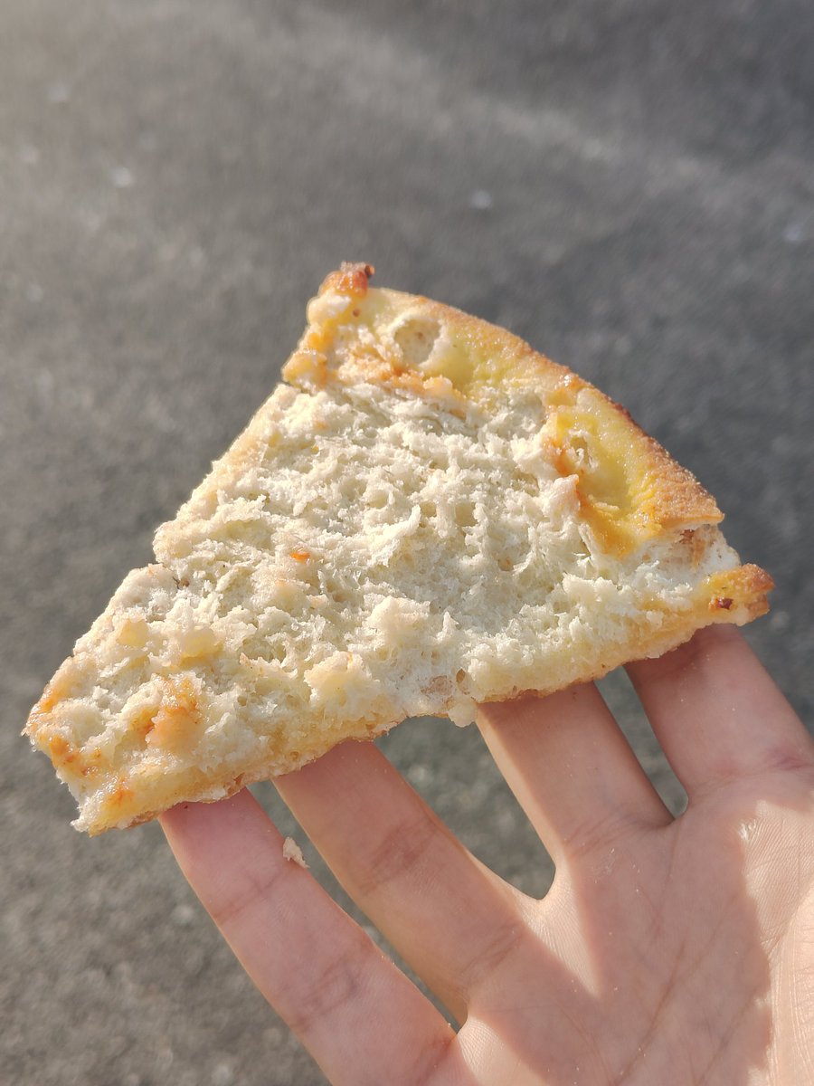 pkzStar's tweet photo. Pizza crust is just the vehicle for the sauce and toppings https://t.co/kuVk0xXXxZ